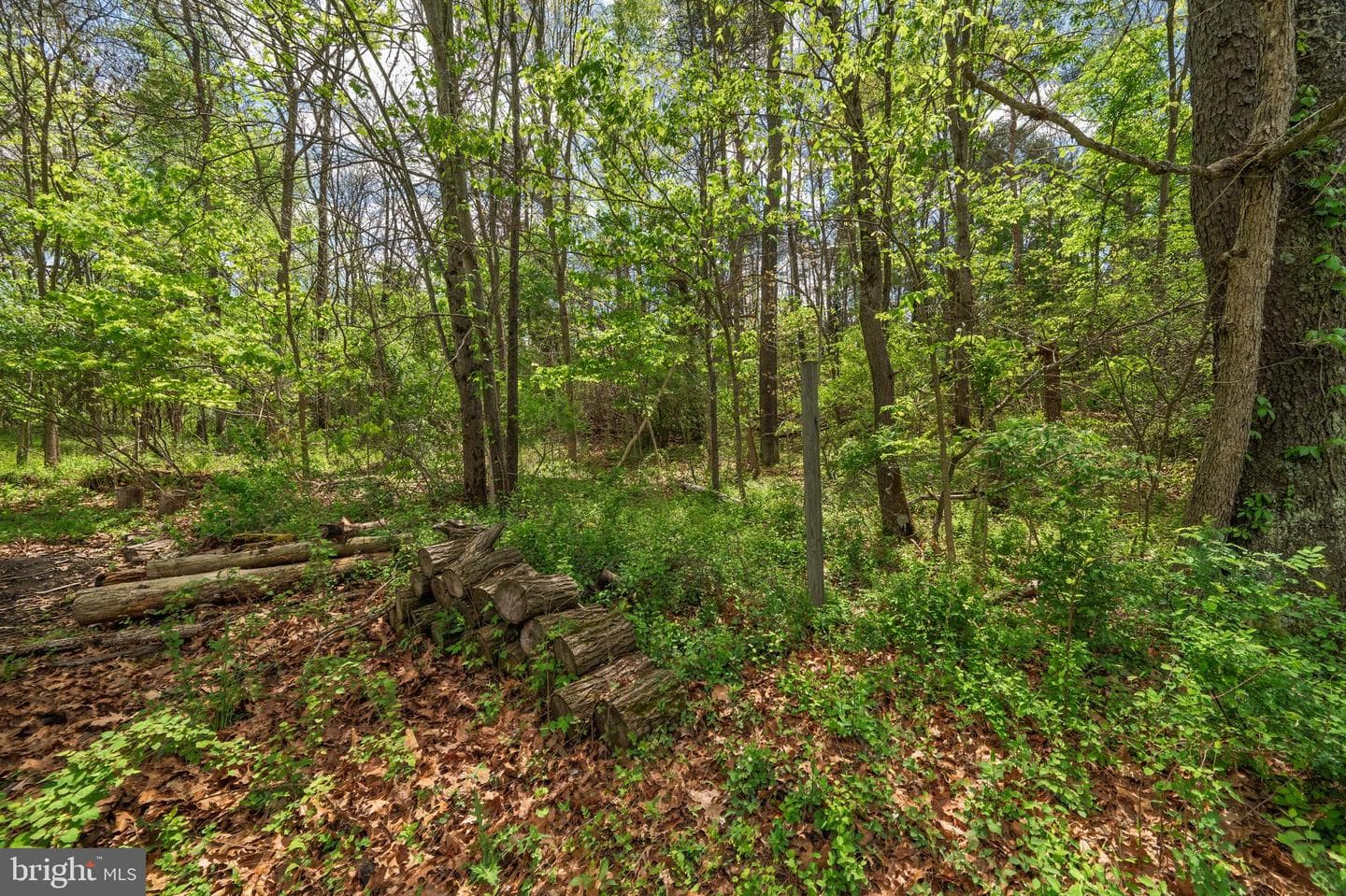 215 Ramblin Rose Lane photo 51