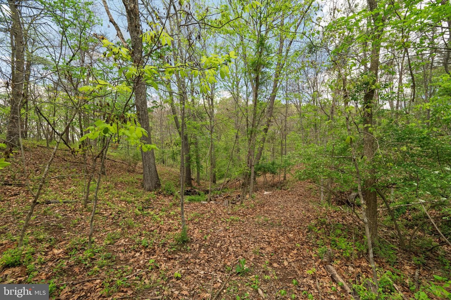 215 Ramblin Rose Lane photo 52