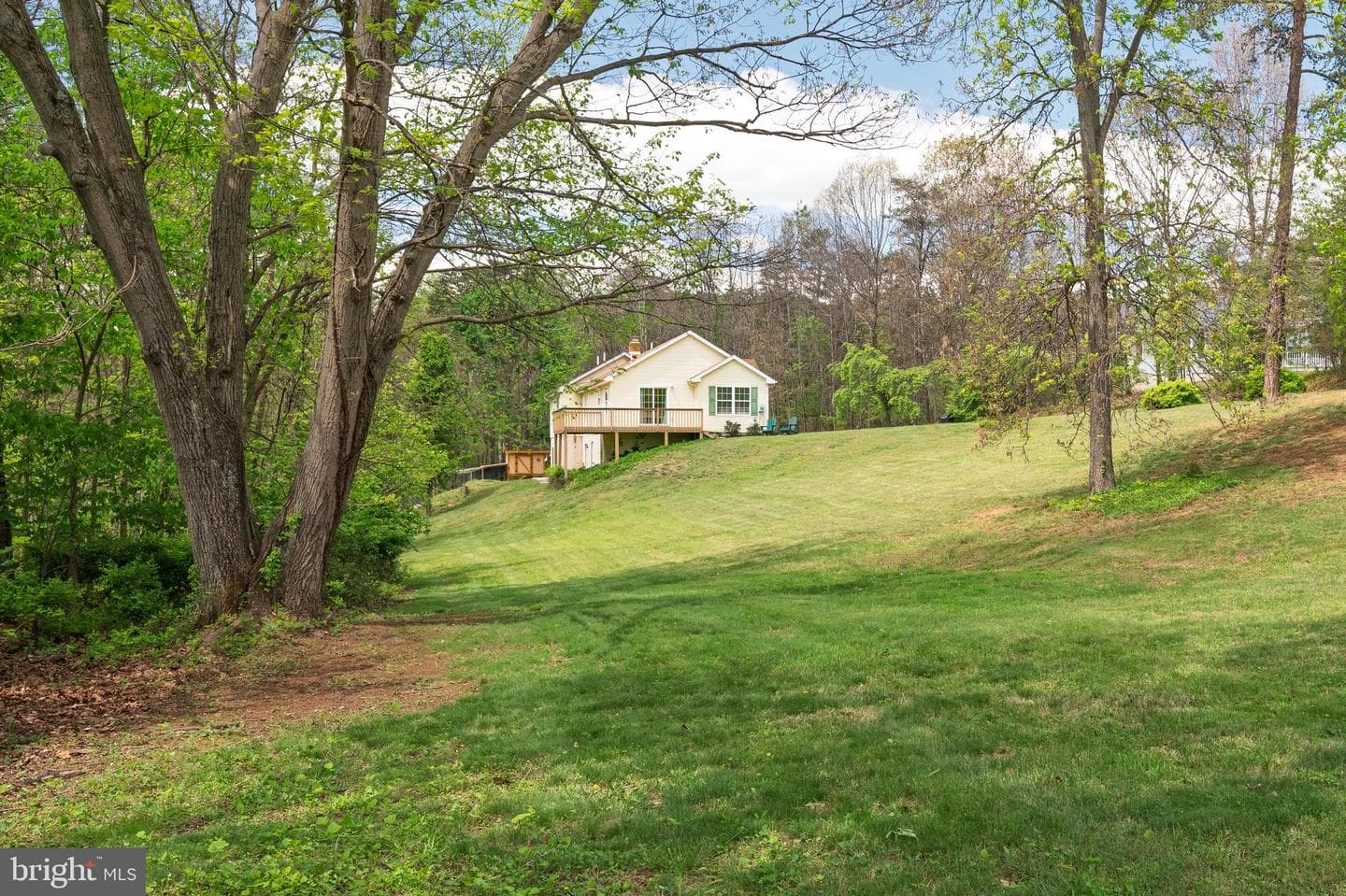 215 Ramblin Rose Lane photo 53