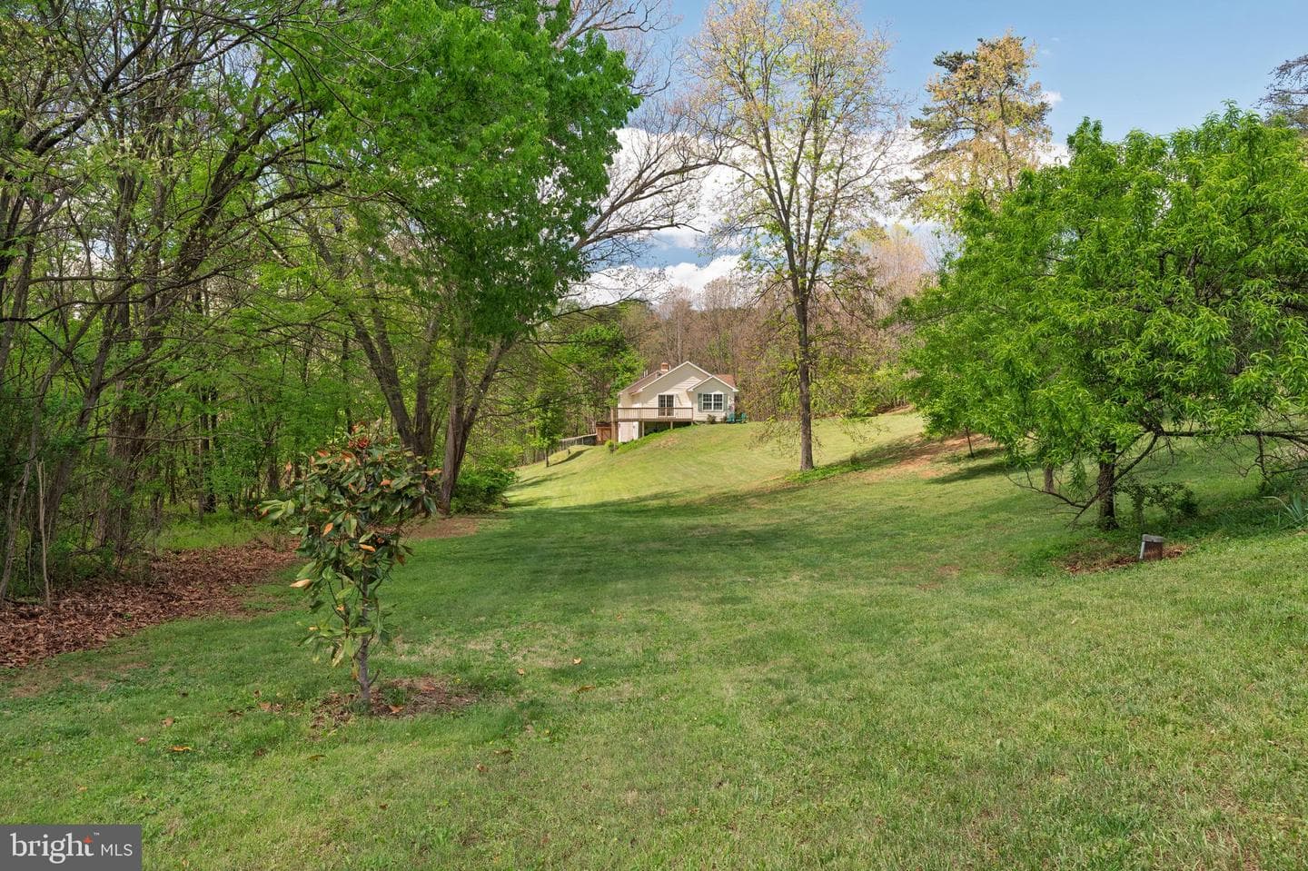 215 Ramblin Rose Lane photo 54