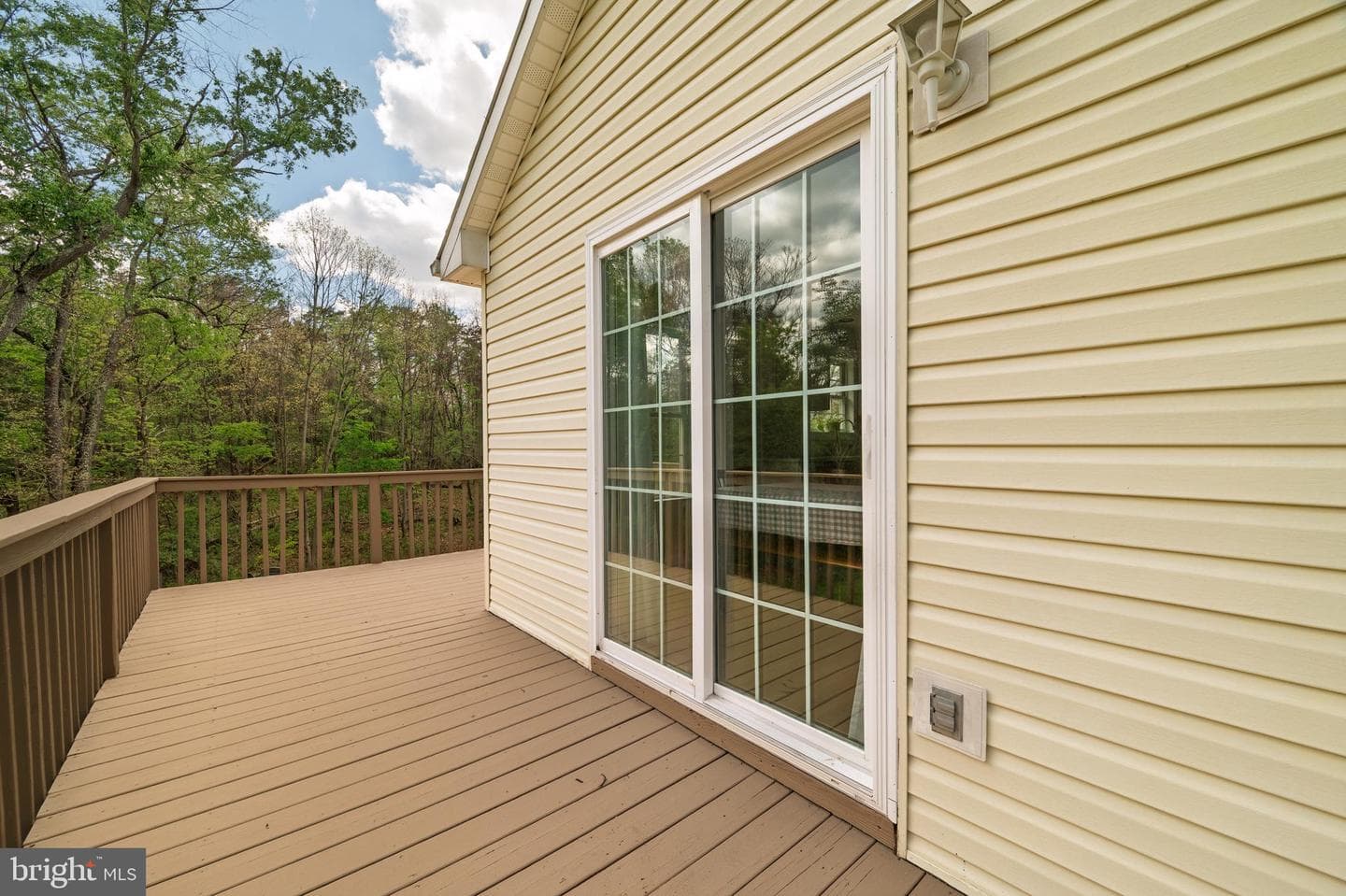 215 Ramblin Rose Lane photo 55