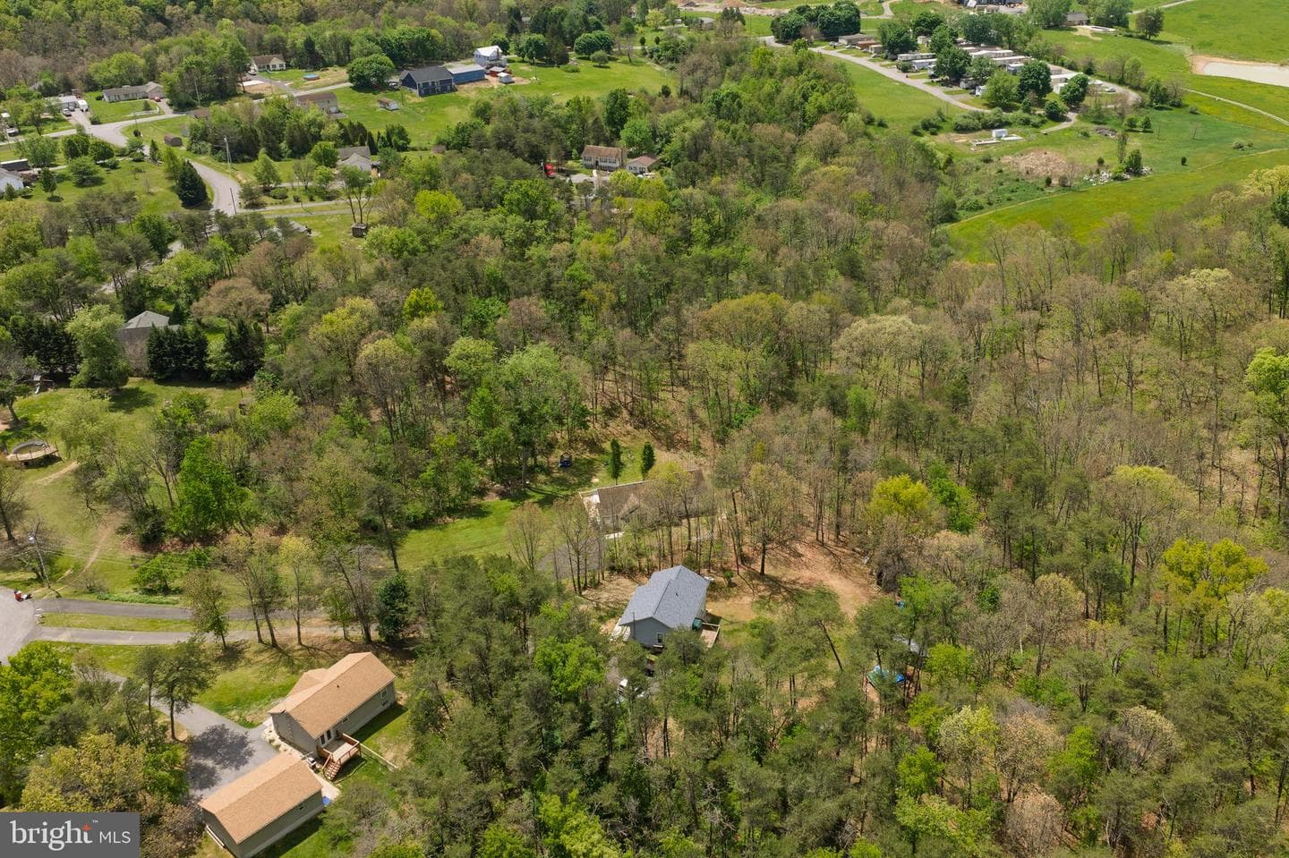 215 Ramblin Rose Lane photo 79