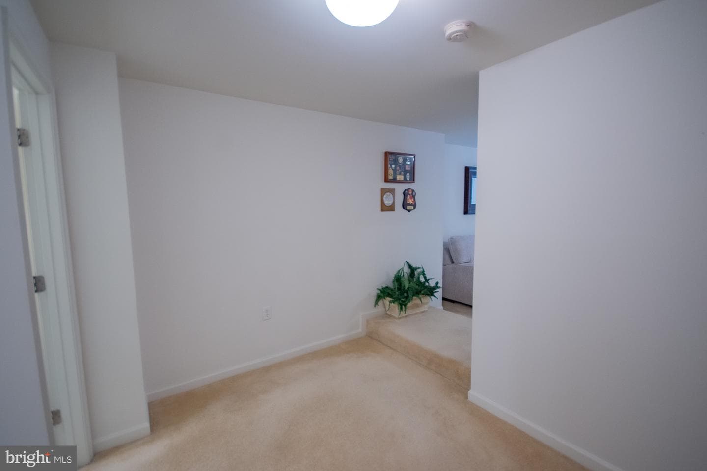 567 Rivanna Run photo 66