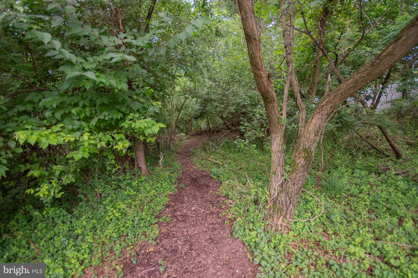 567 Rivanna Run photo 78