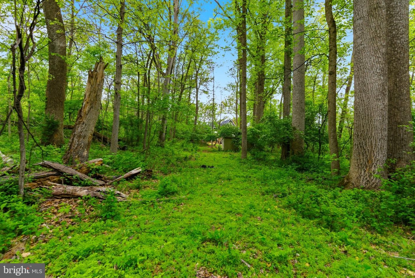 387 Weaver Lane photo 76