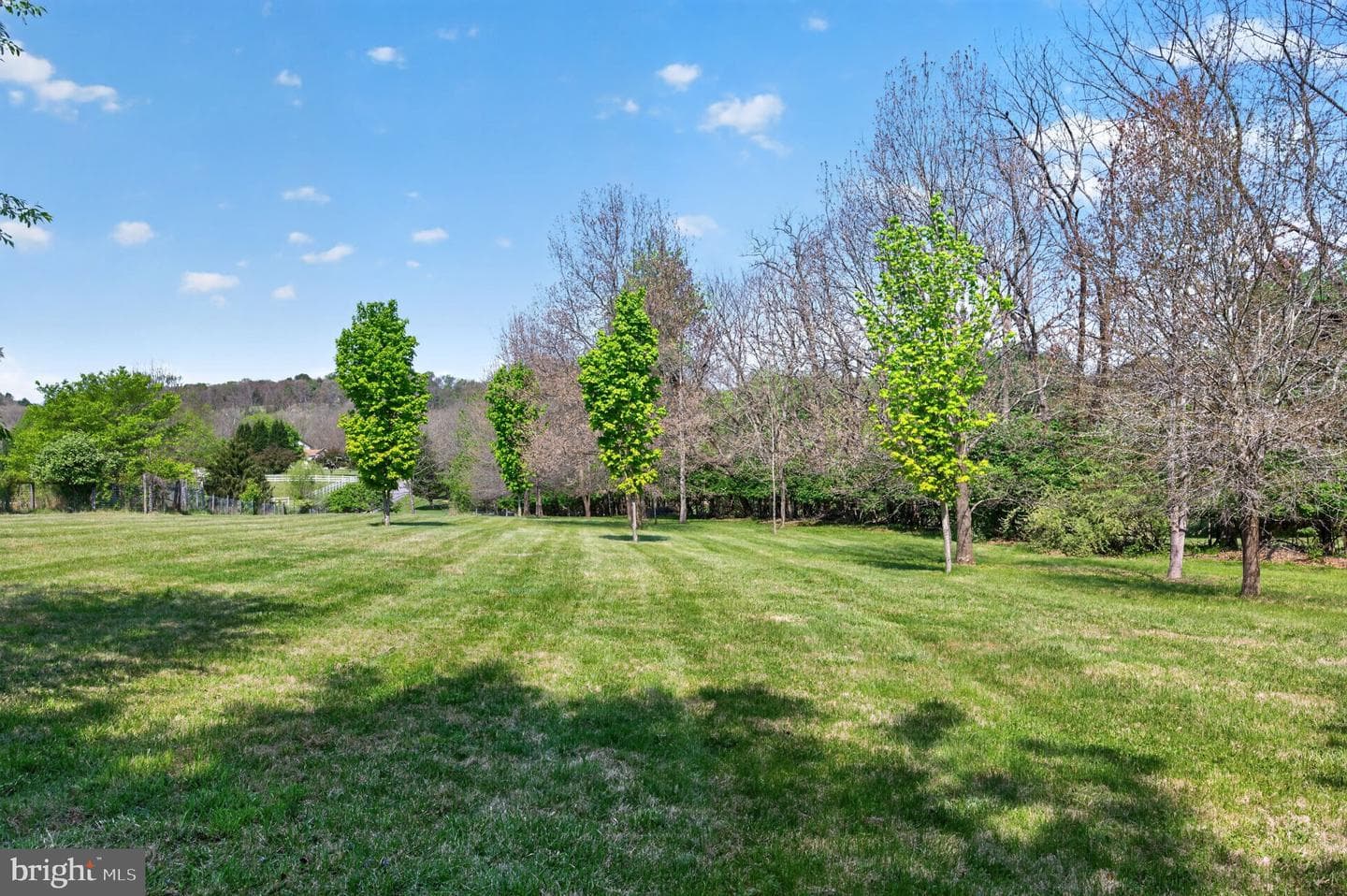 648 Abbie Lane photo 51