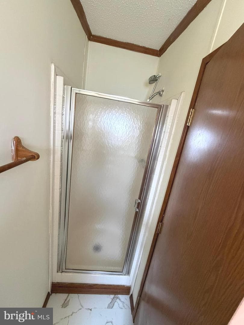 324 Fancy Filly Cir photo 22