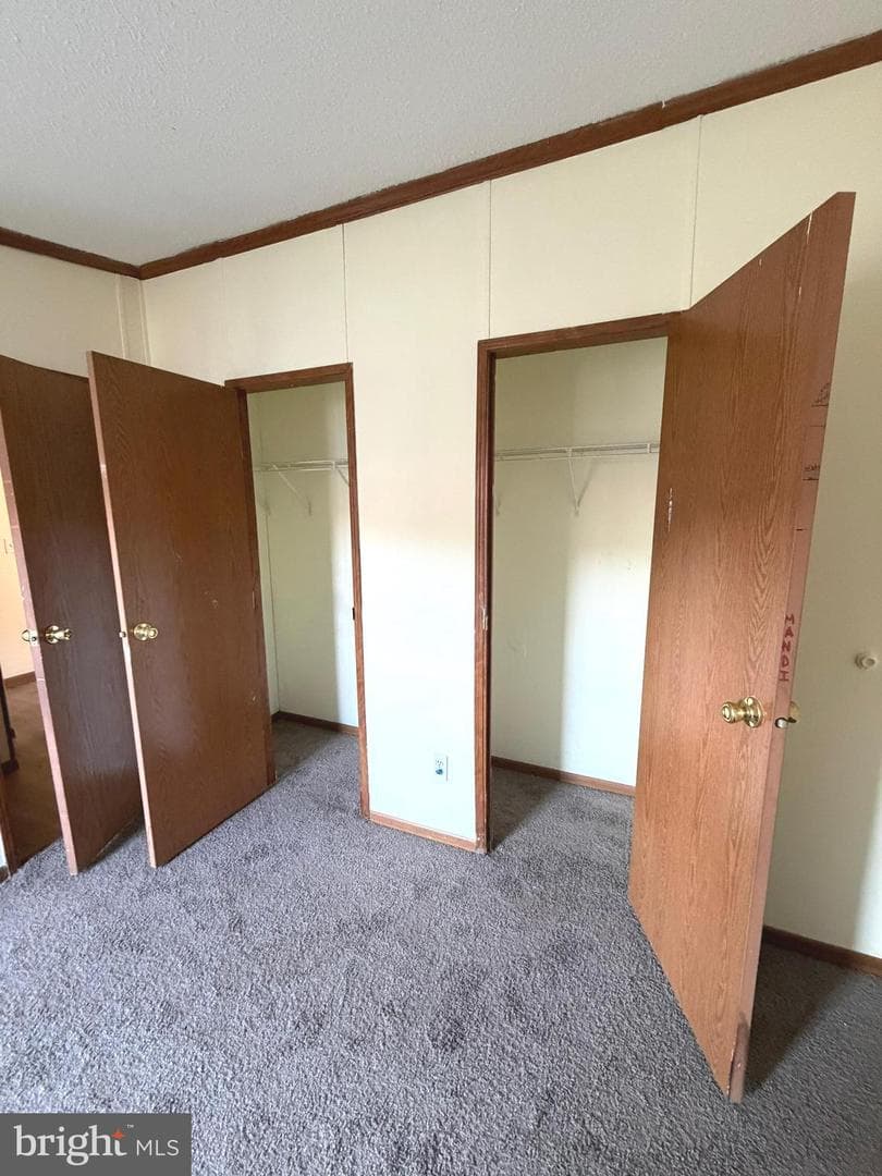 324 Fancy Filly Cir photo 24