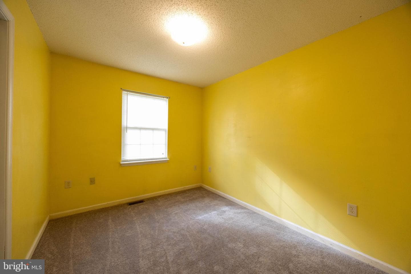 351 Mimosa Drive photo 22