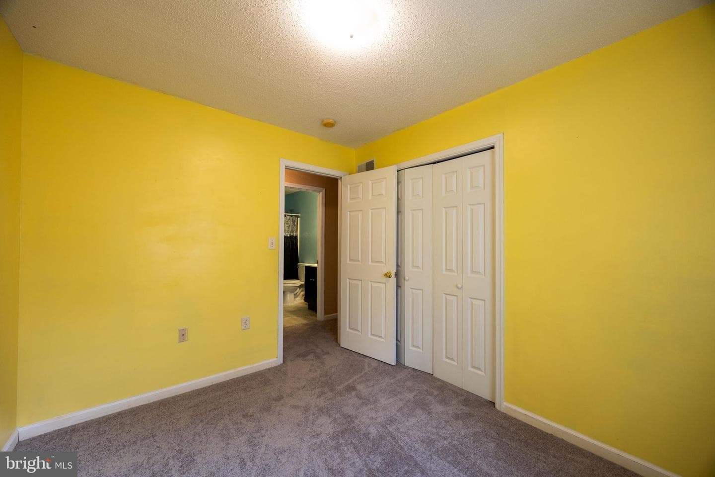 351 Mimosa Drive photo 24