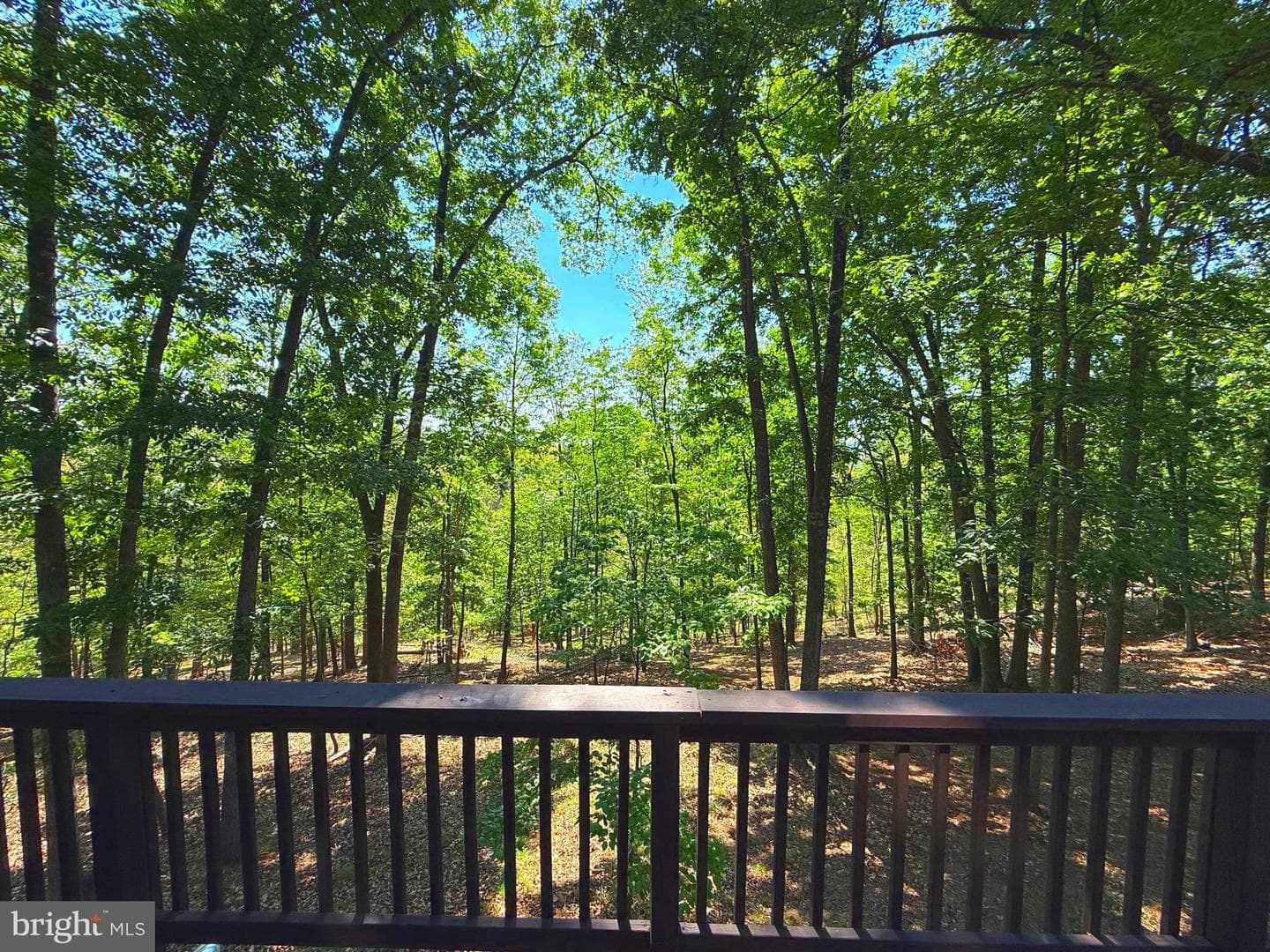 277 Endless Summer Rd photo 11