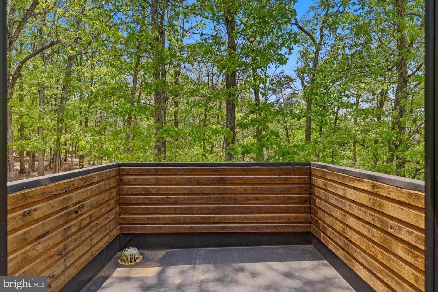 446 Broomgrass Way photo 38