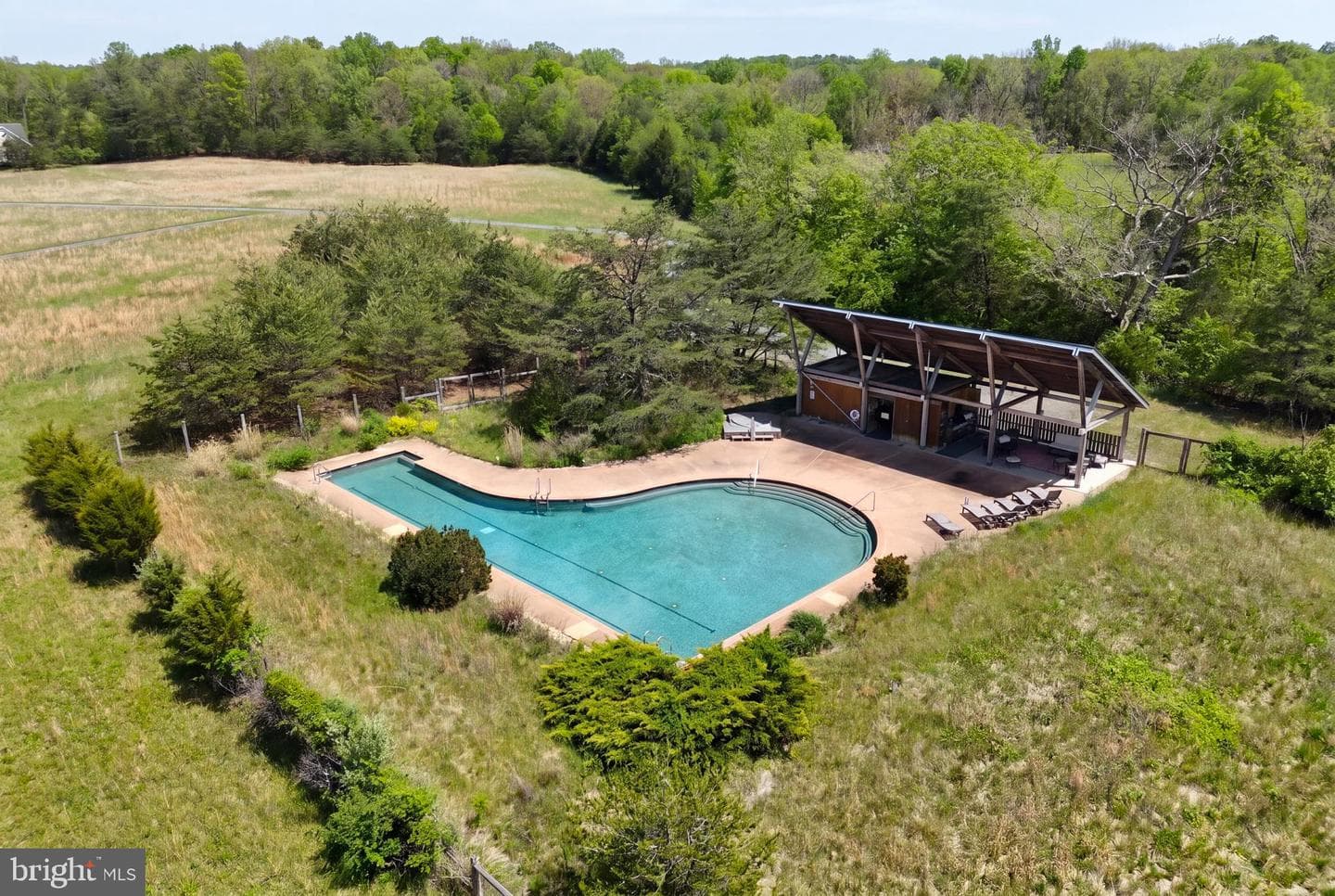 446 Broomgrass Way photo 6