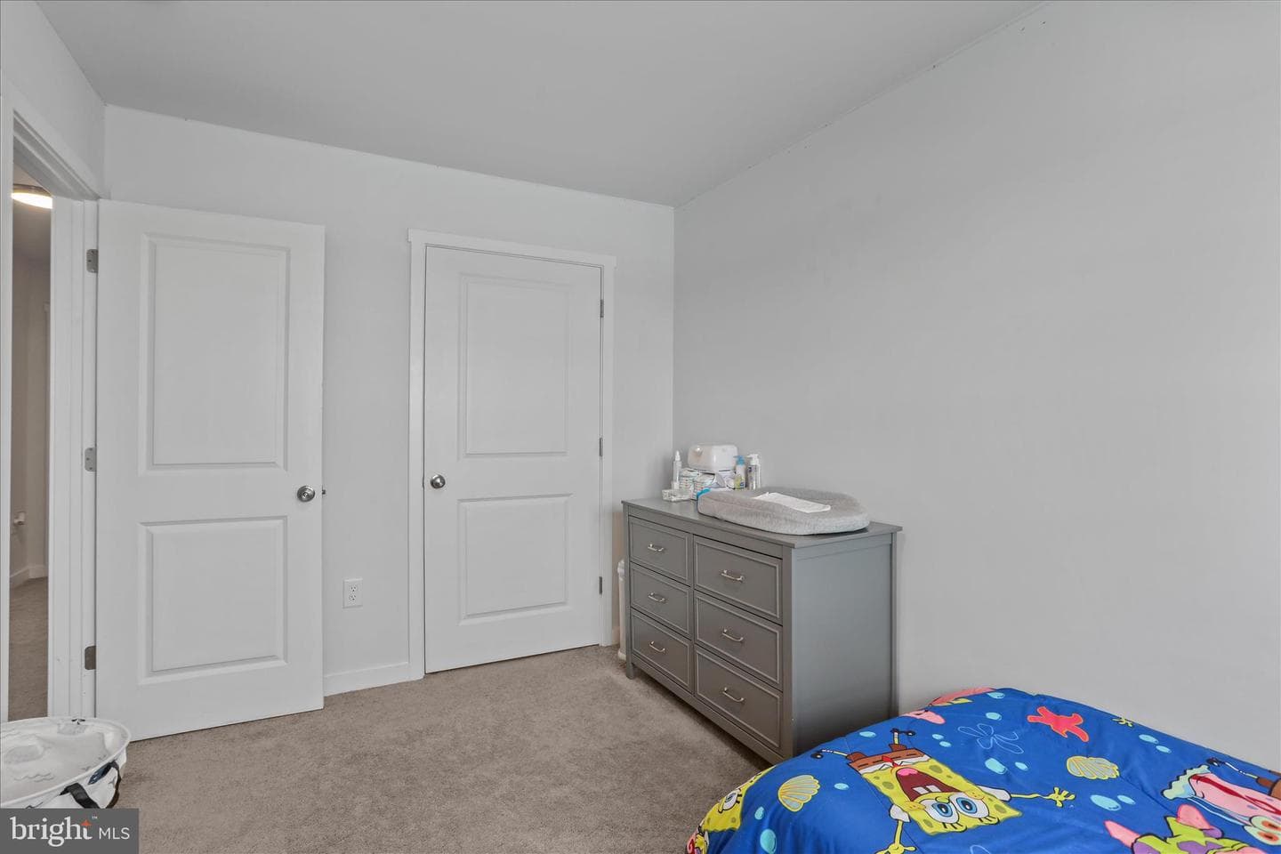 13 Olga Drive photo 19