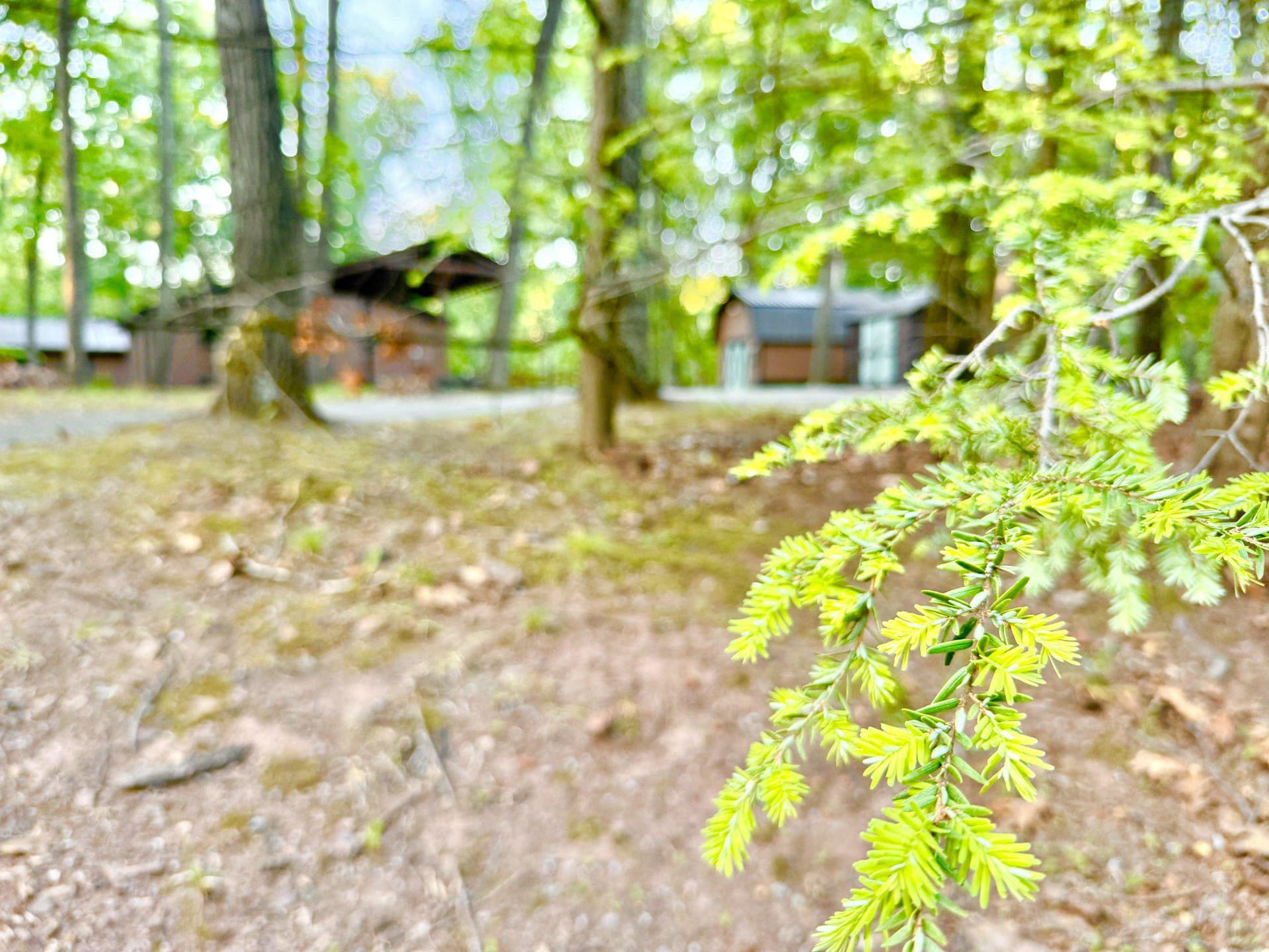 579 Tuckahoe Trl photo 47