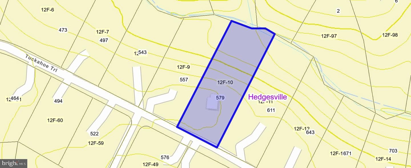 579 Tuckahoe Trl Trail photo 52