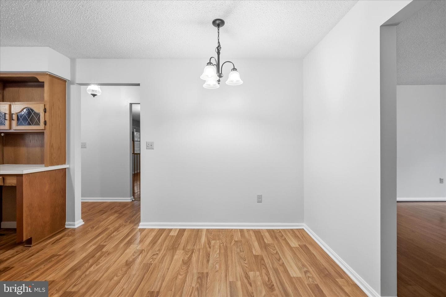 243 Tanbridge Drive photo 14