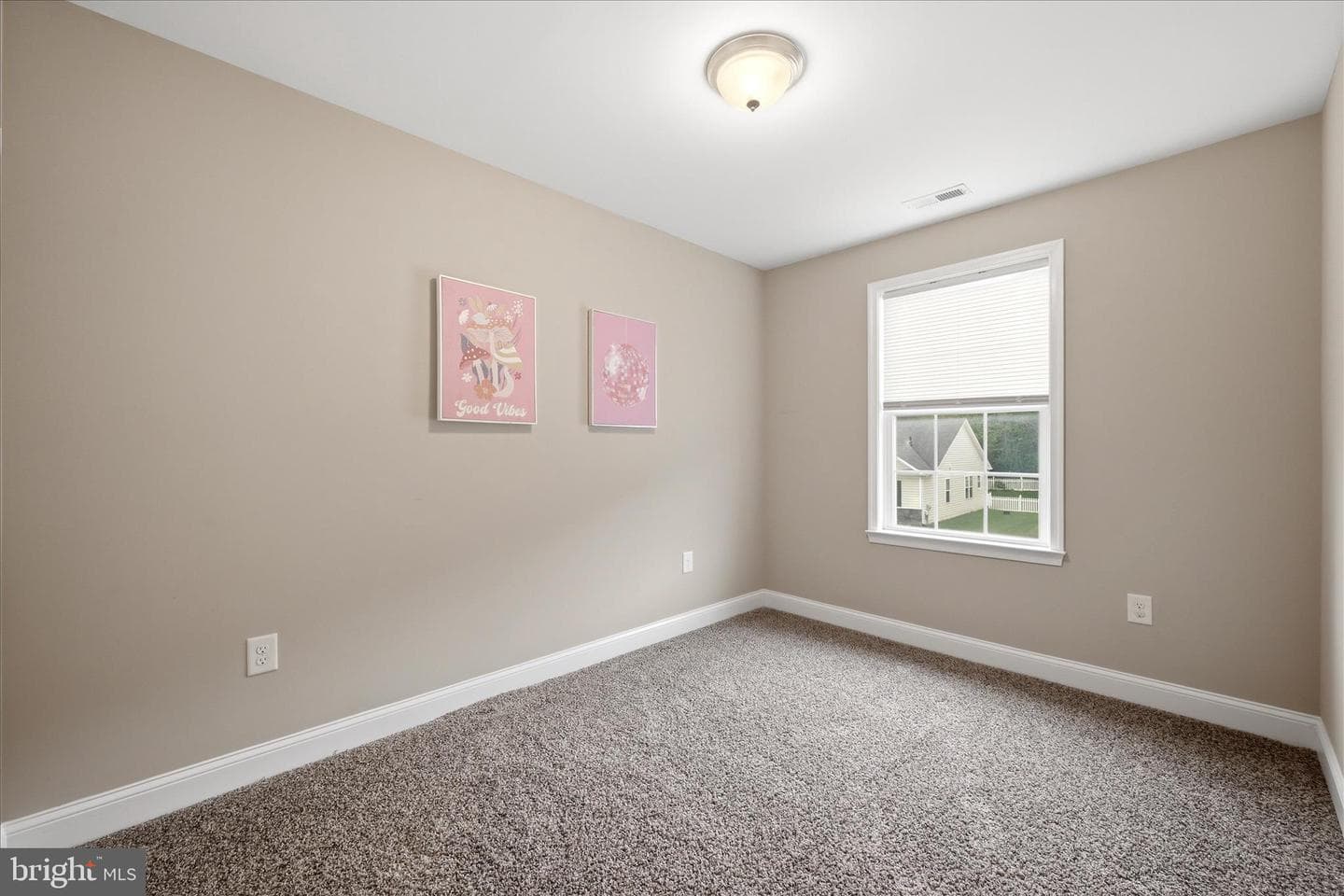 691 Webber Springs Drive photo 43