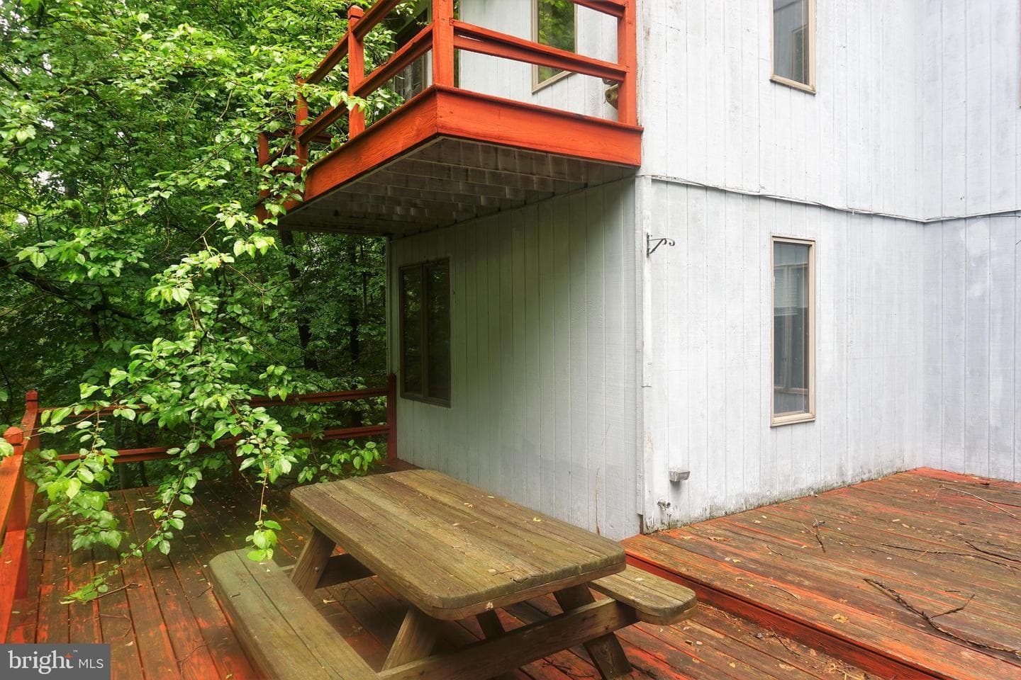 30 Fitzhugh Lane photo 21