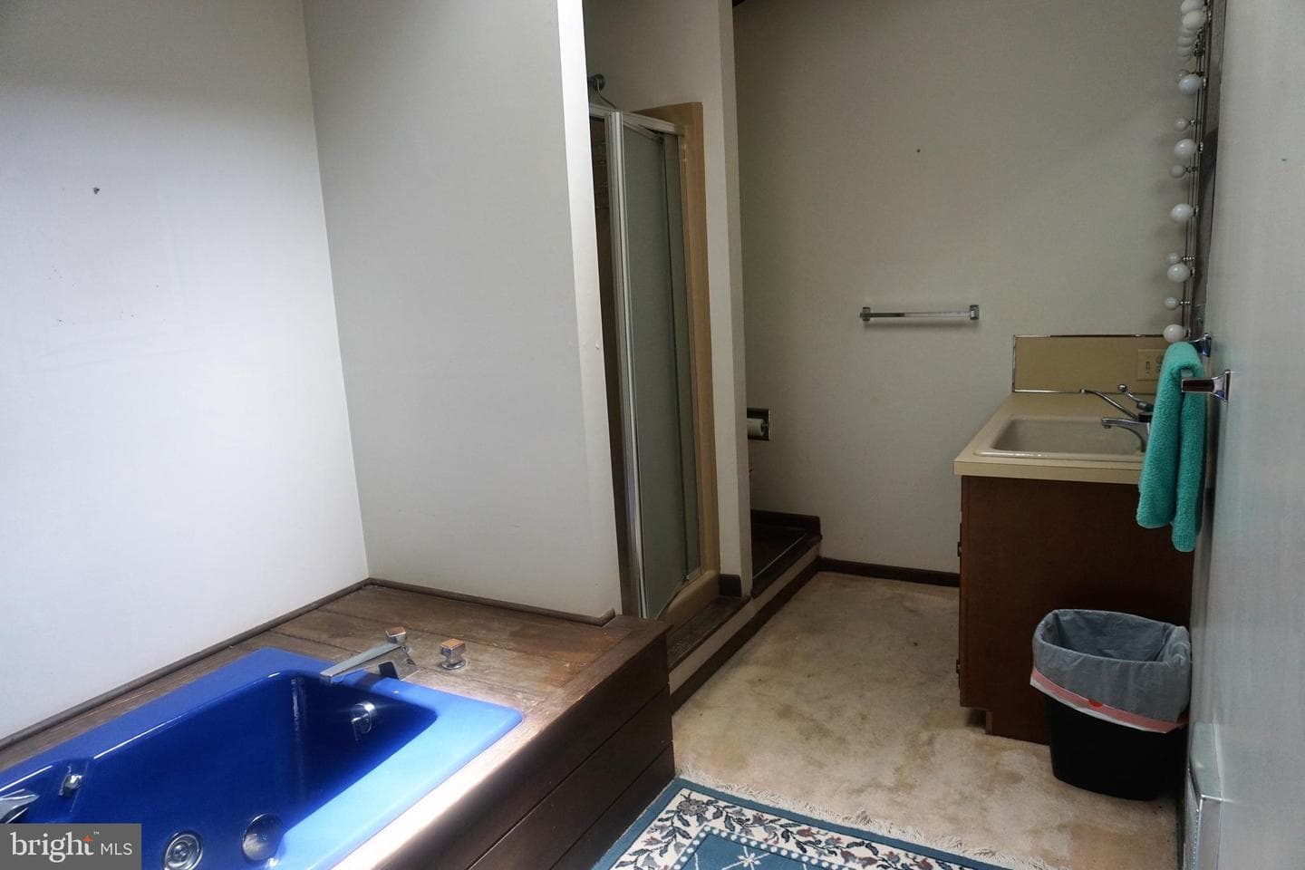 30 Fitzhugh Lane photo 38