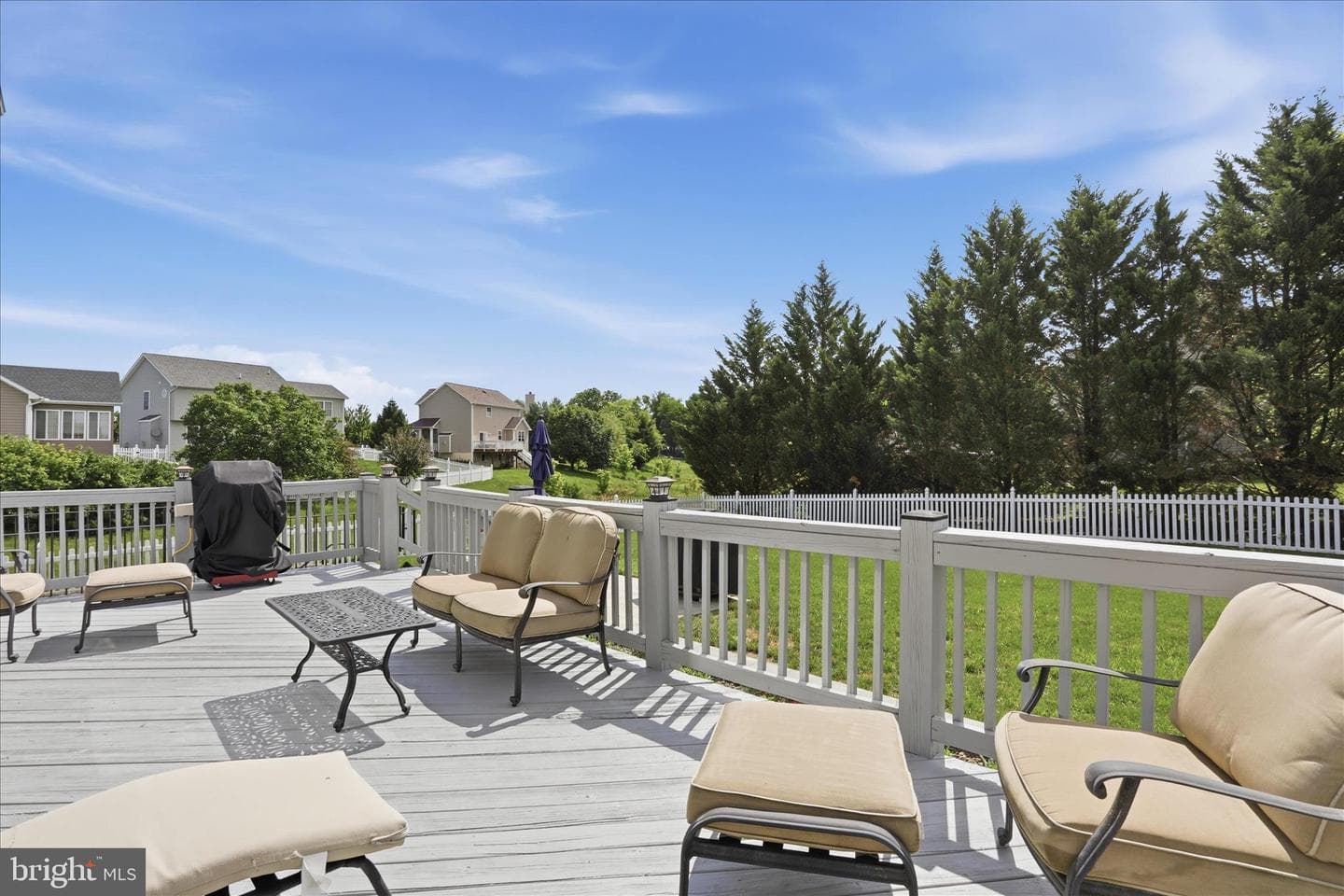 171 Webber Springs Drive photo 41