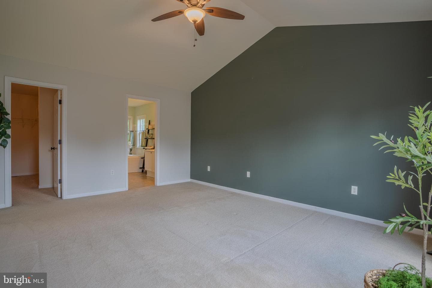 1704 Memorial Park Avenue photo 44