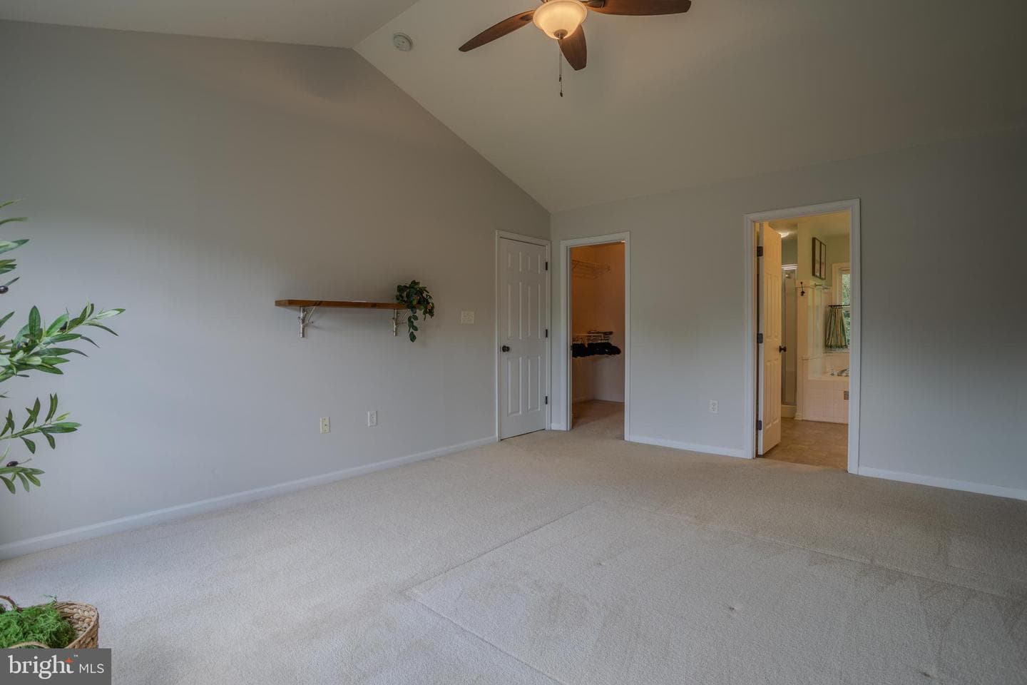1704 Memorial Park Avenue photo 46
