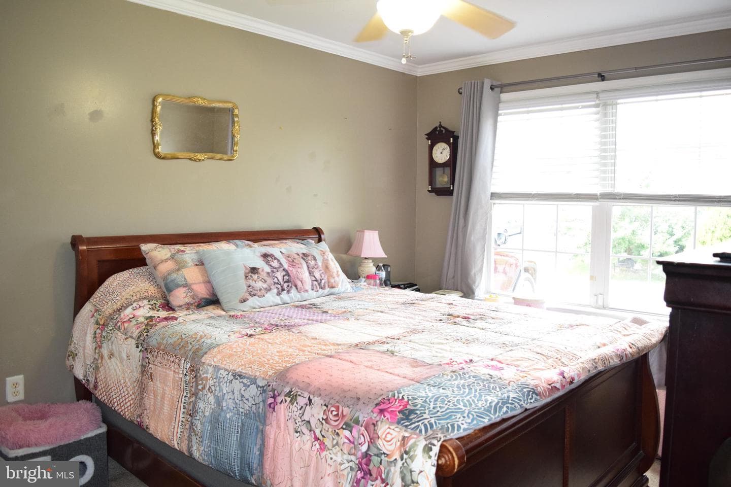 98 Knox Drive photo 27