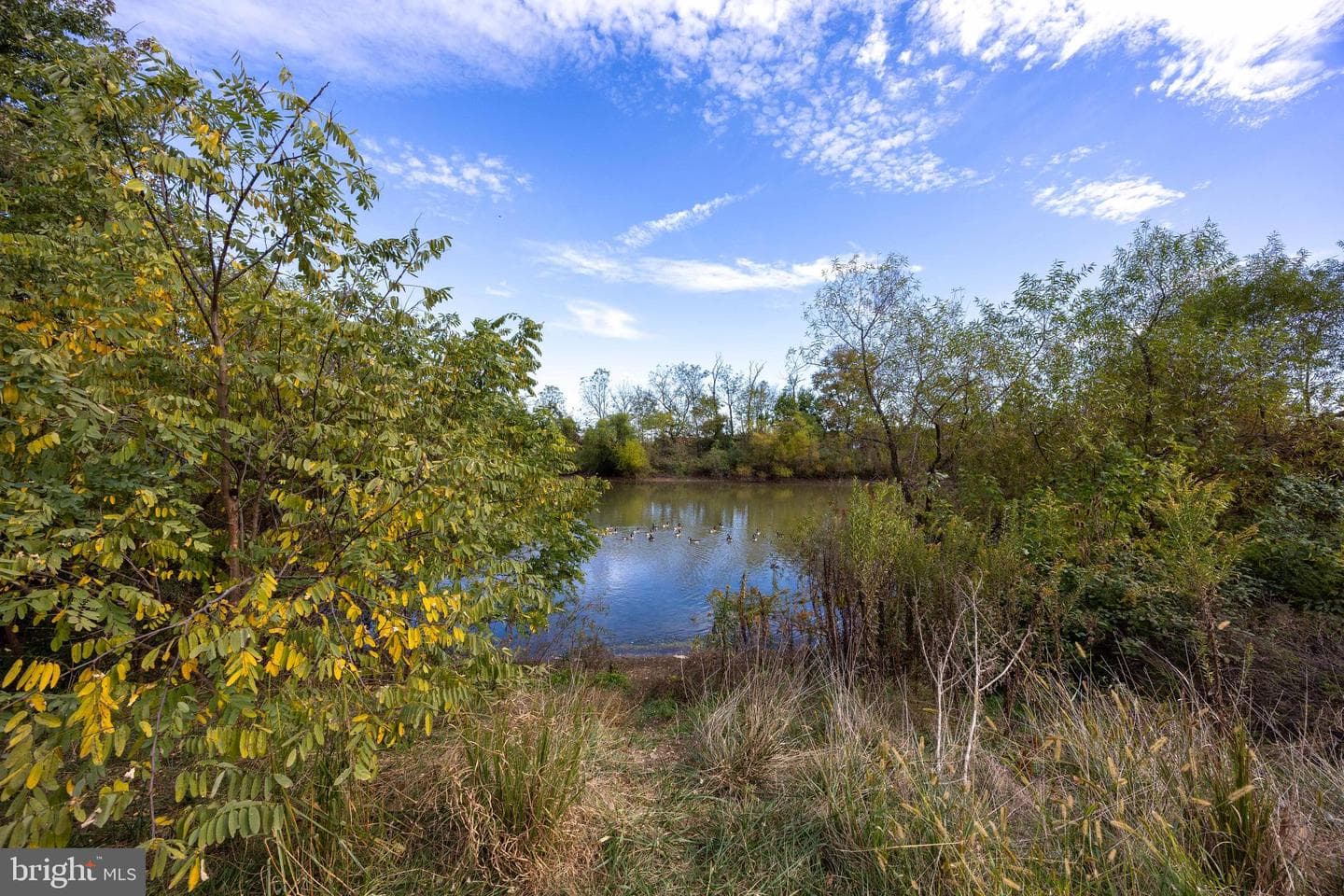 42 Magellan Drive photo 45