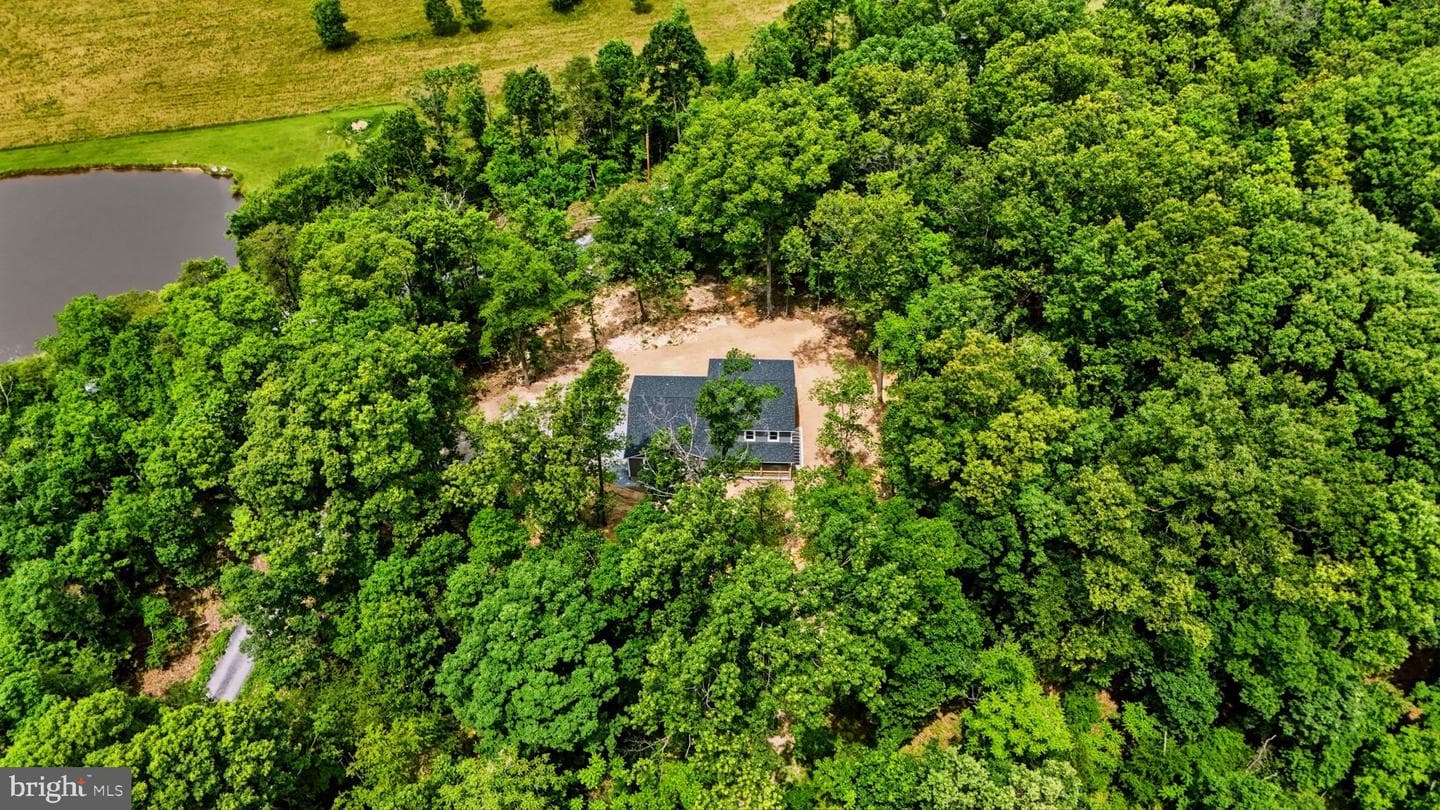 10339 Back Creek Valley Road photo 44