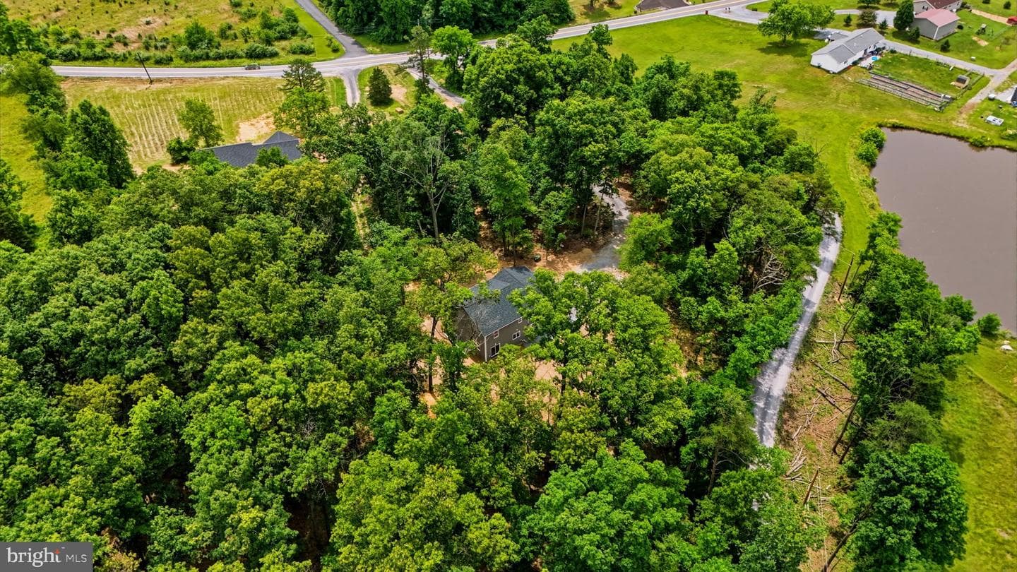 10339 Back Creek Valley Road photo 48