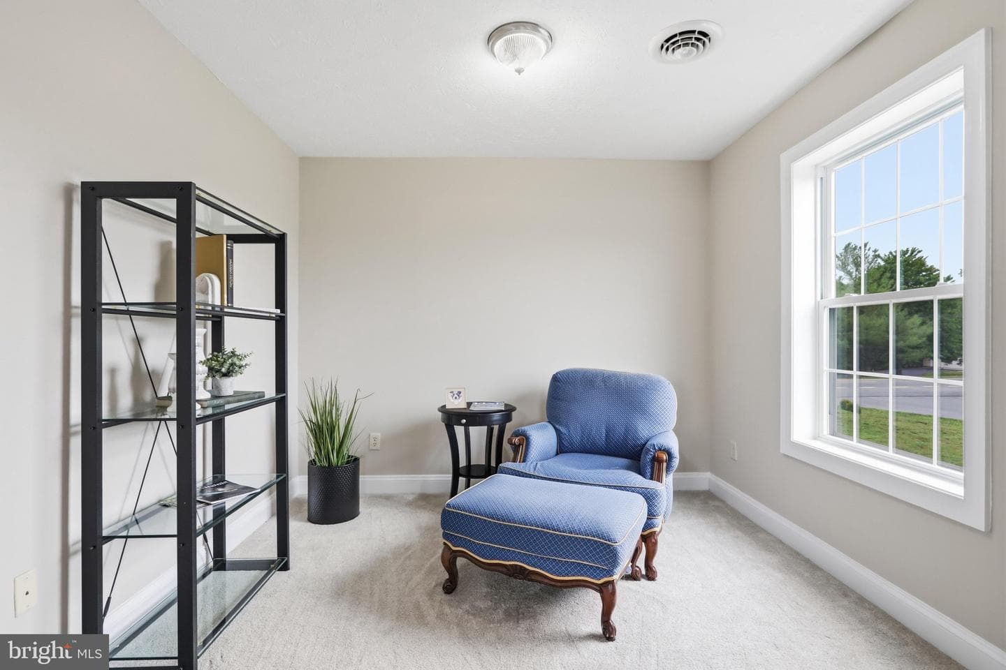 18 Treasure Drive photo 20