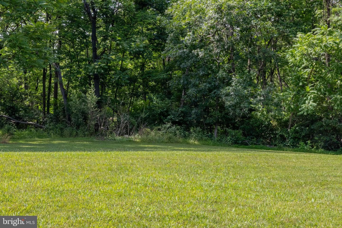 89 Basket Drive photo 4