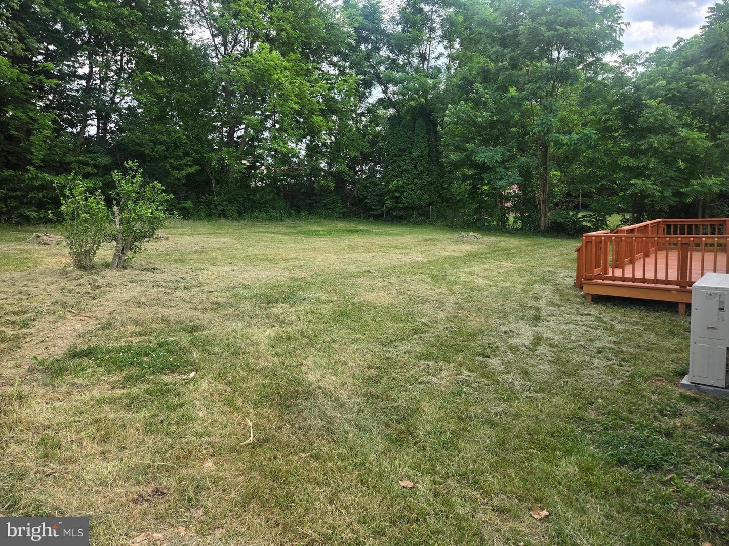 65 Hawthorne Avenue photo 22
