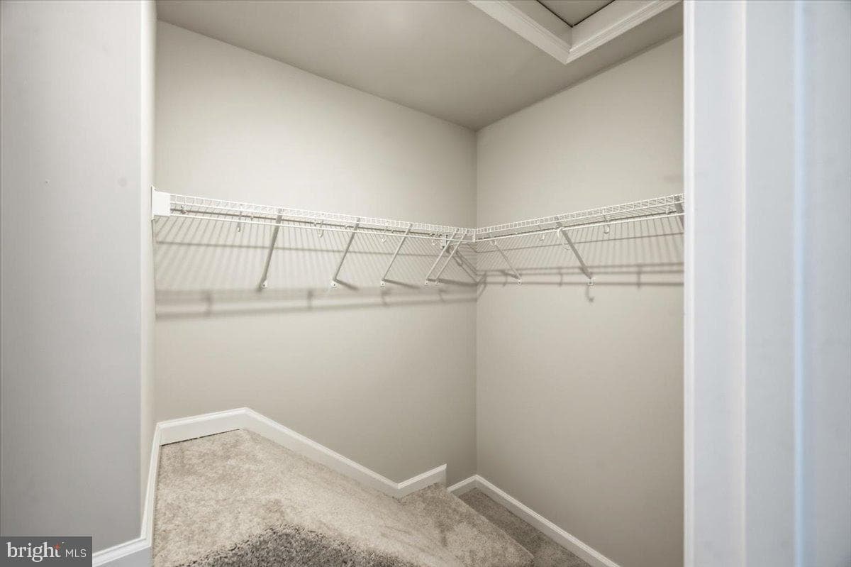 127 Brashear Court photo 24