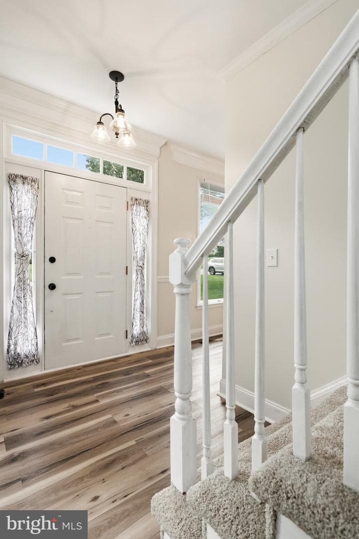 242 Street Of Dreams photo 10