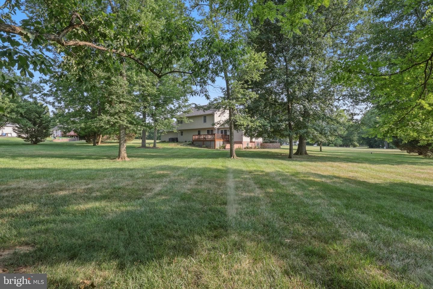 221 Hadley Drive photo 49