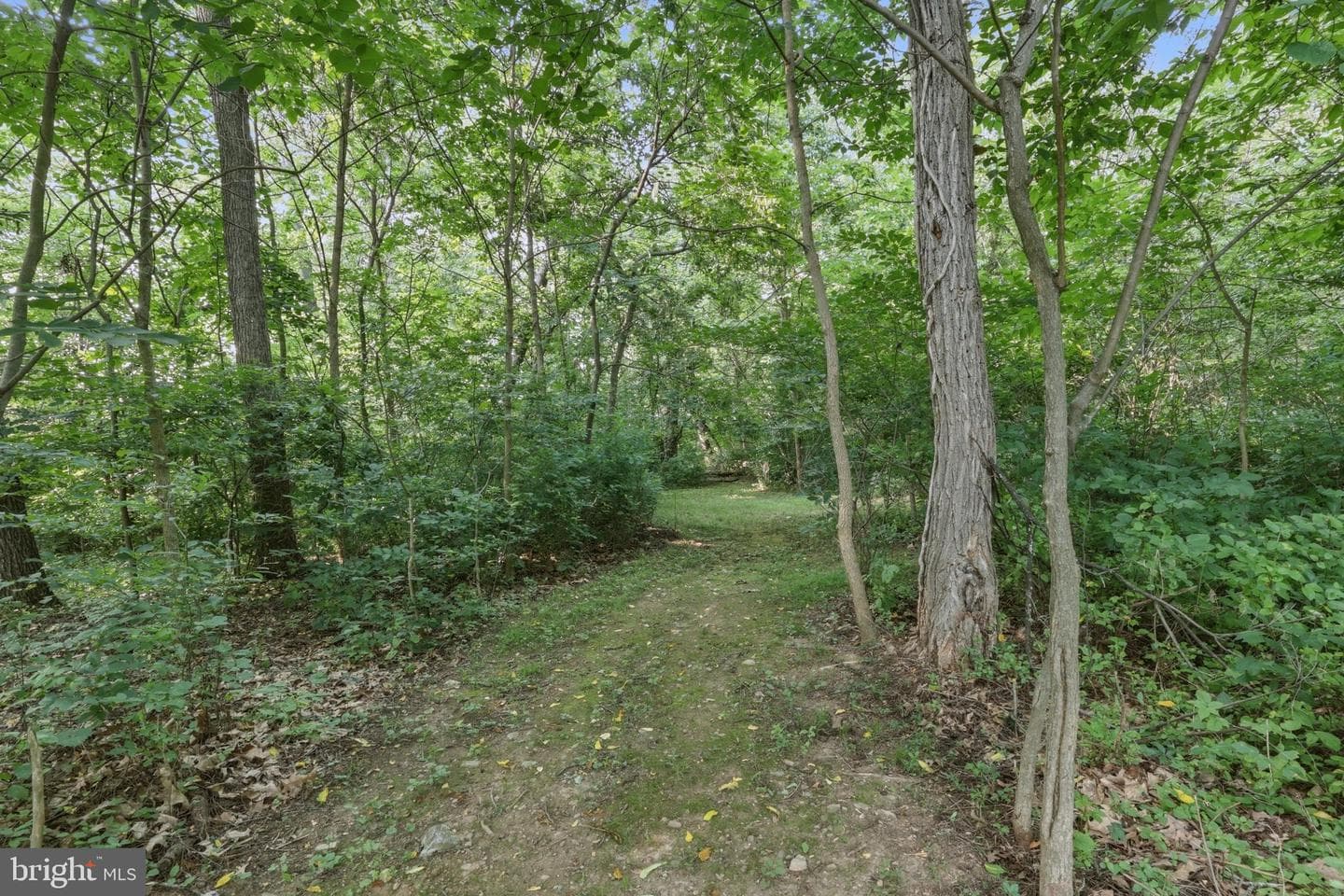 221 Hadley Drive photo 52