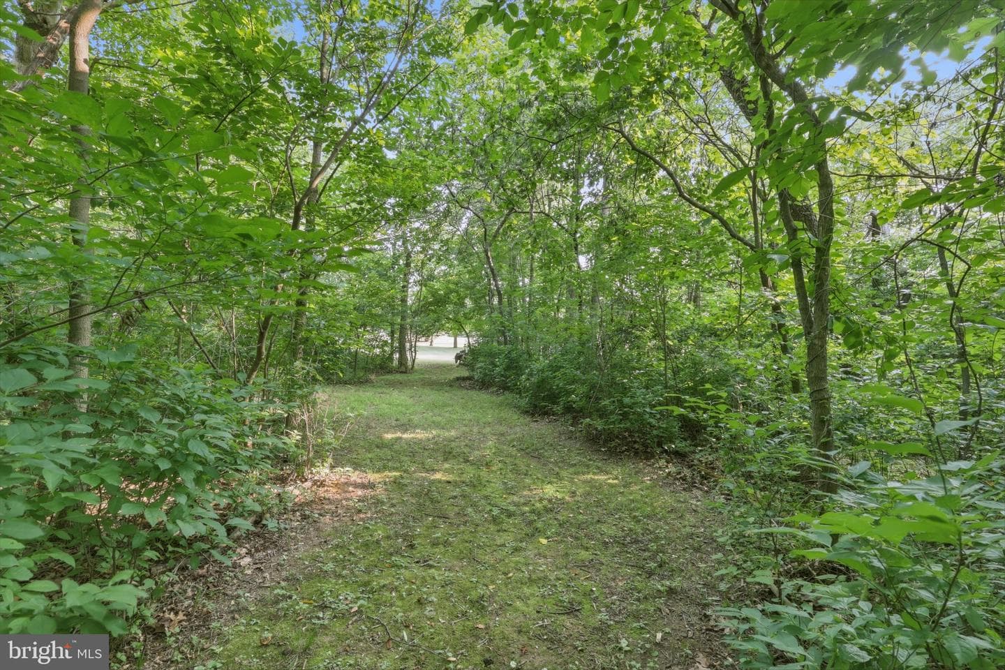 221 Hadley Drive photo 53