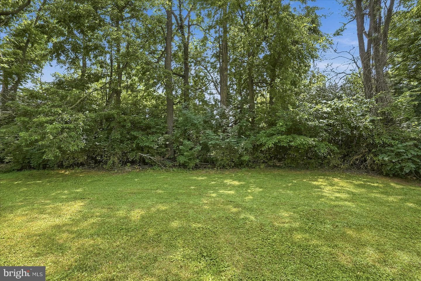 156 Morgan Street photo 31