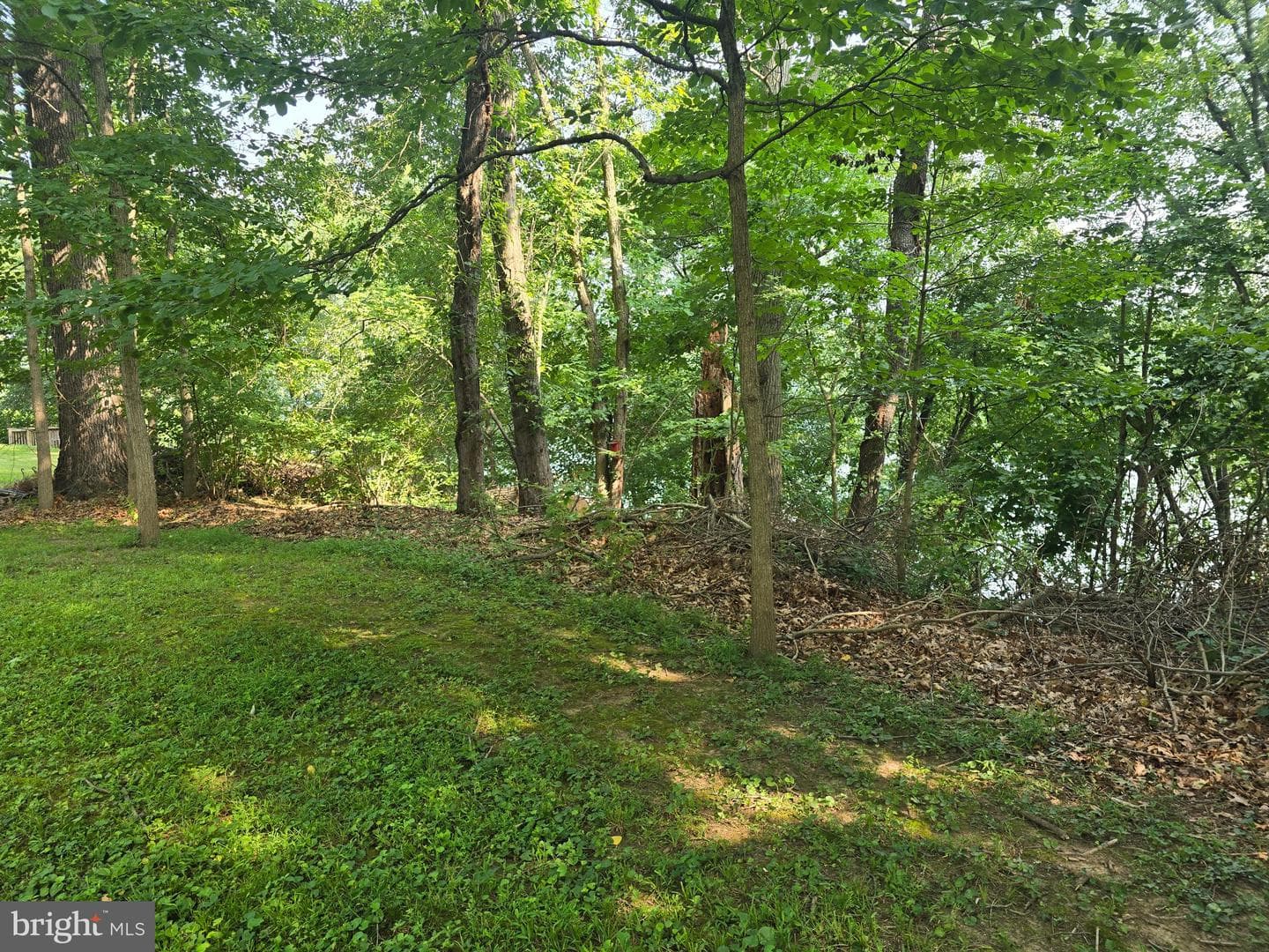 474 Temple Drive photo 27