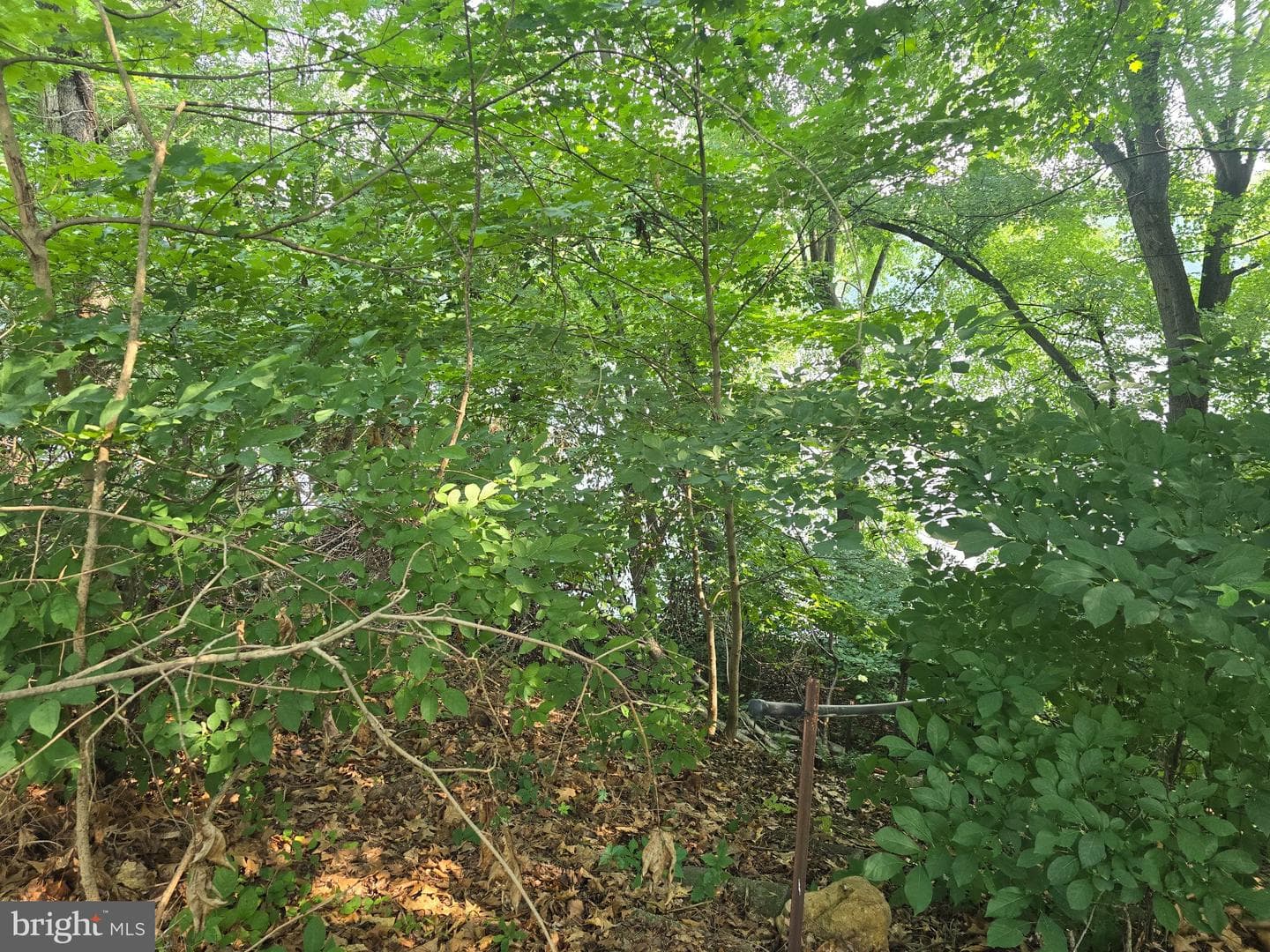 474 Temple Drive photo 28
