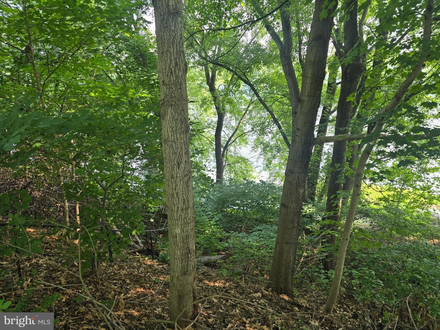 474 Temple Drive photo 29