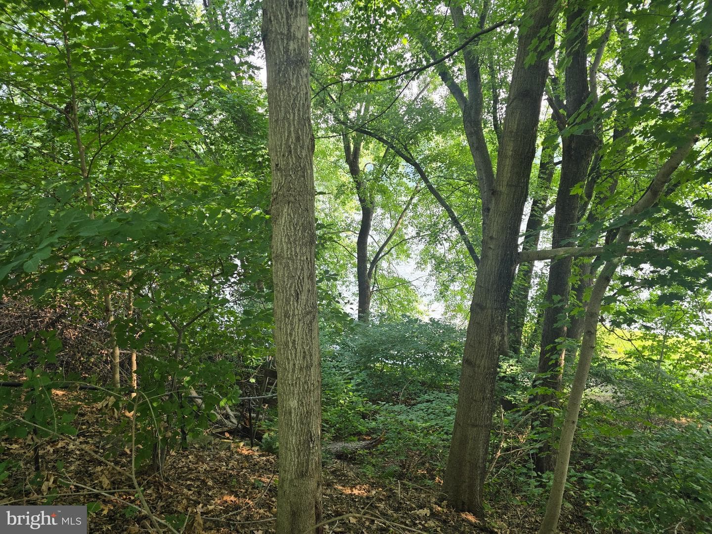 474 Temple Drive photo 30