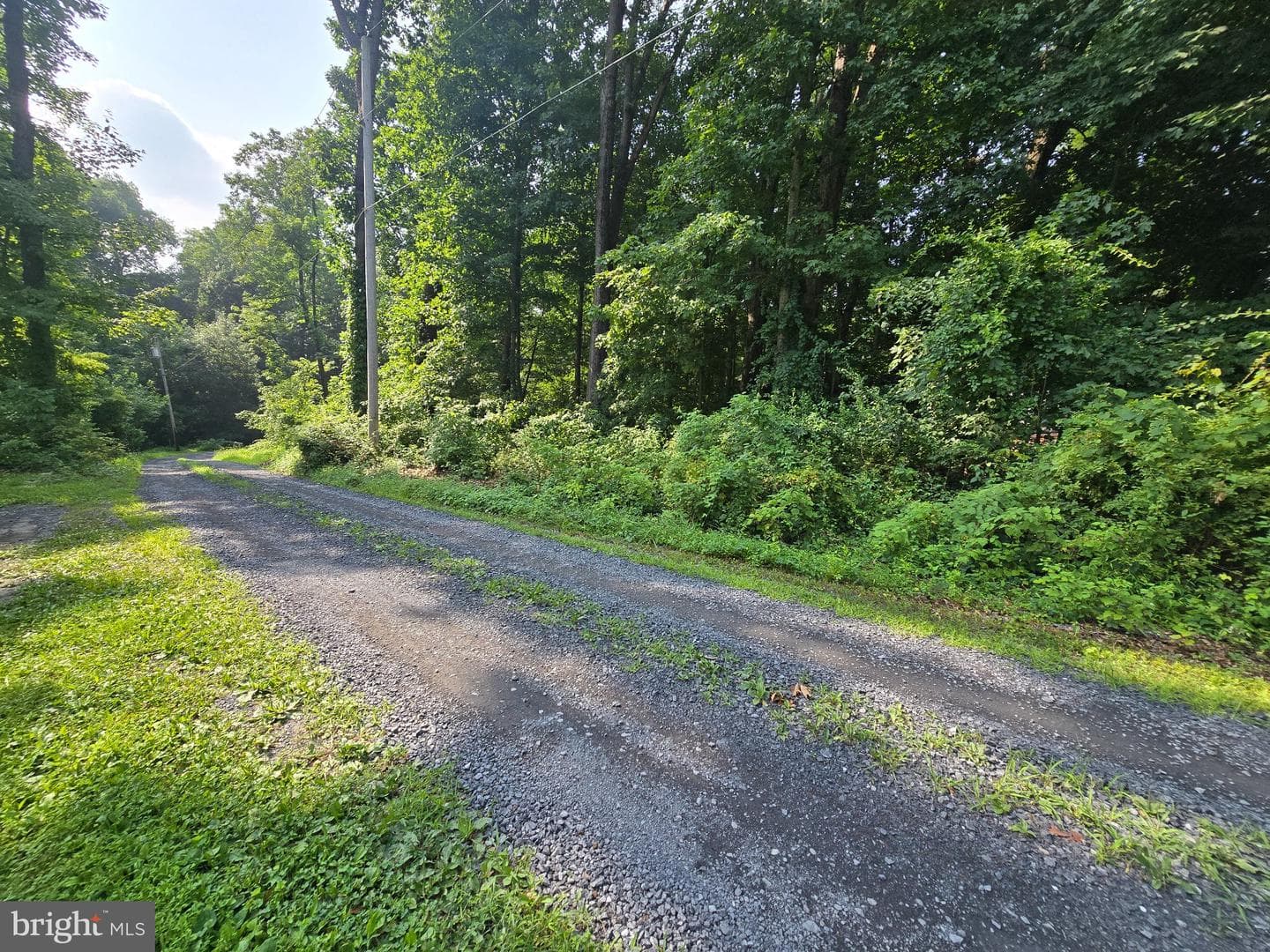 474 Temple Drive photo 36