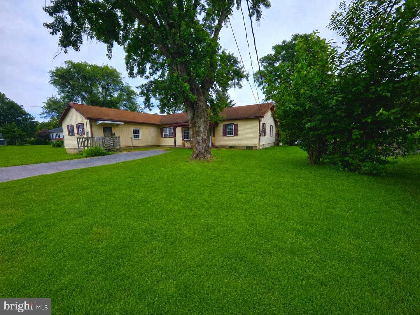 61 Wren Street photo 1