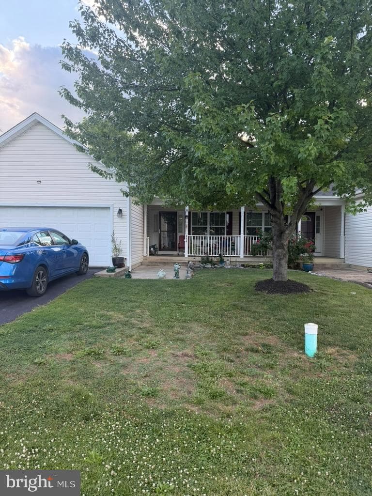 254 Dorothy Court photo 1