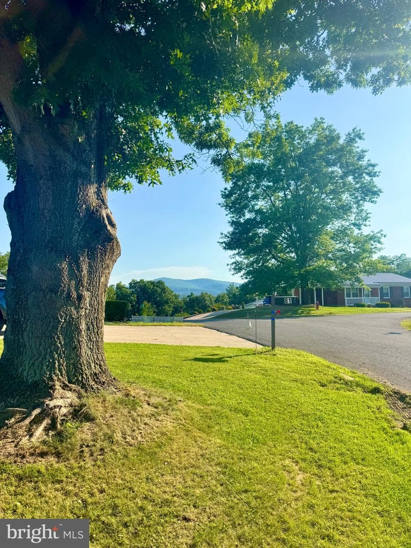 81 Sunset Drive photo 21