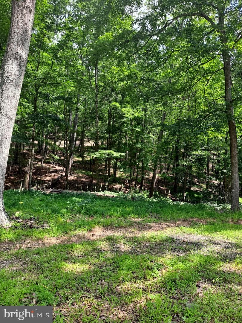 1079 Little Mountain photo 42