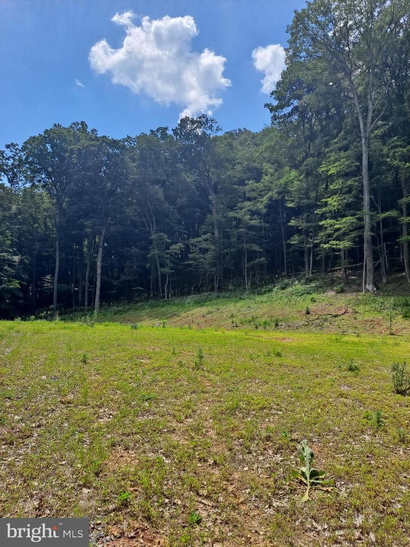 1079 Little Mountain photo 46